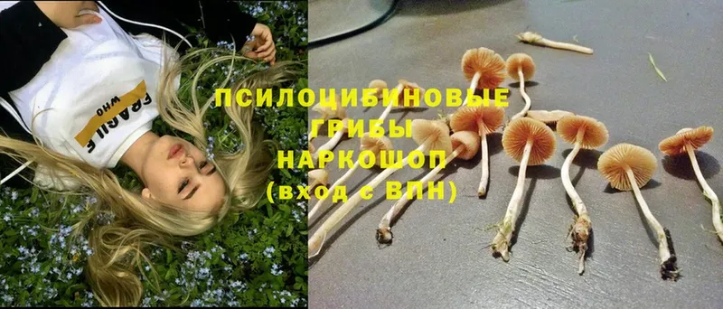 hydra ссылка  Алупка  Псилоцибиновые грибы MAGIC MUSHROOMS  купить  